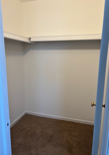 Gallery Photo 2